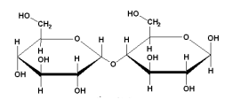 <p>What is this disaccharide? </p>