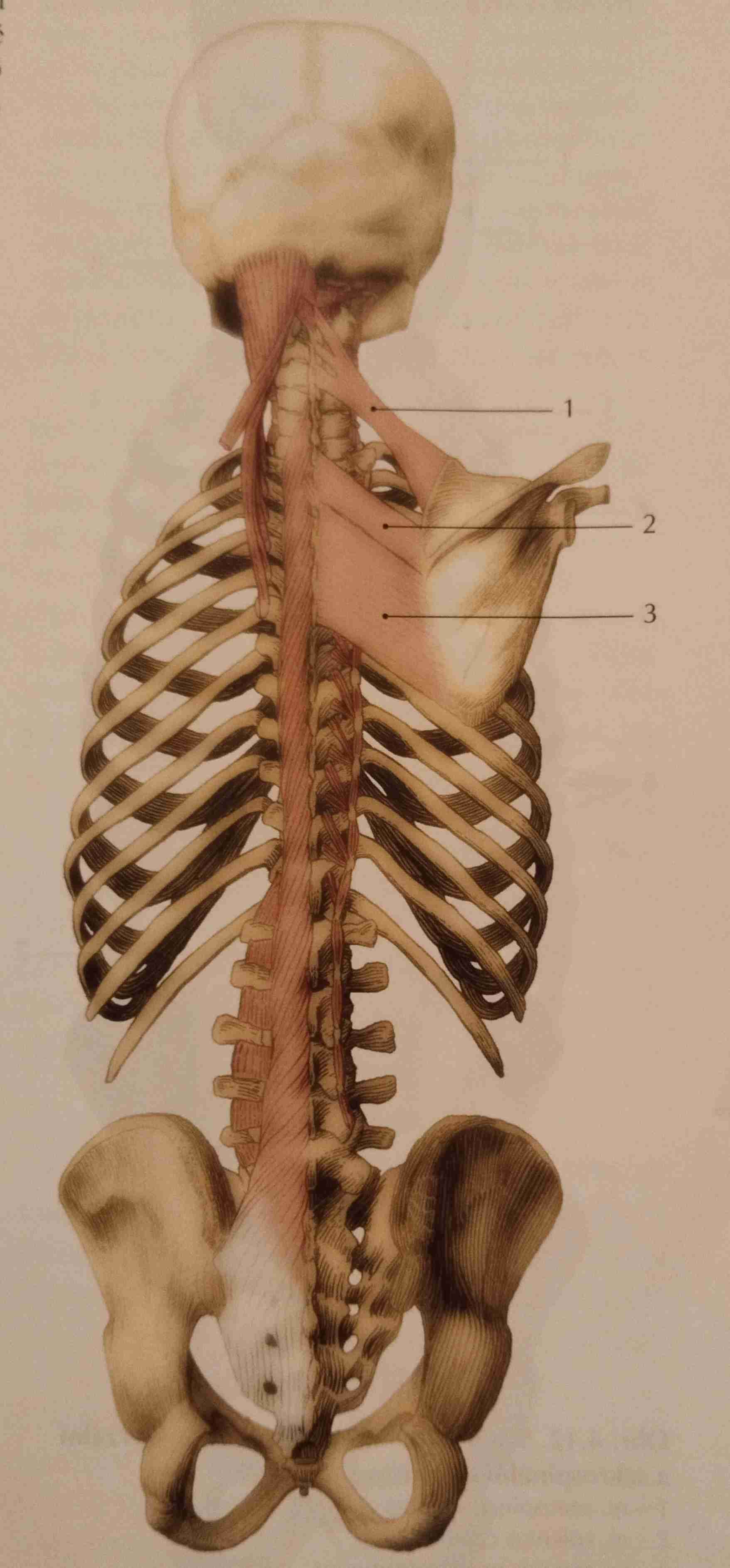 <p>3</p>