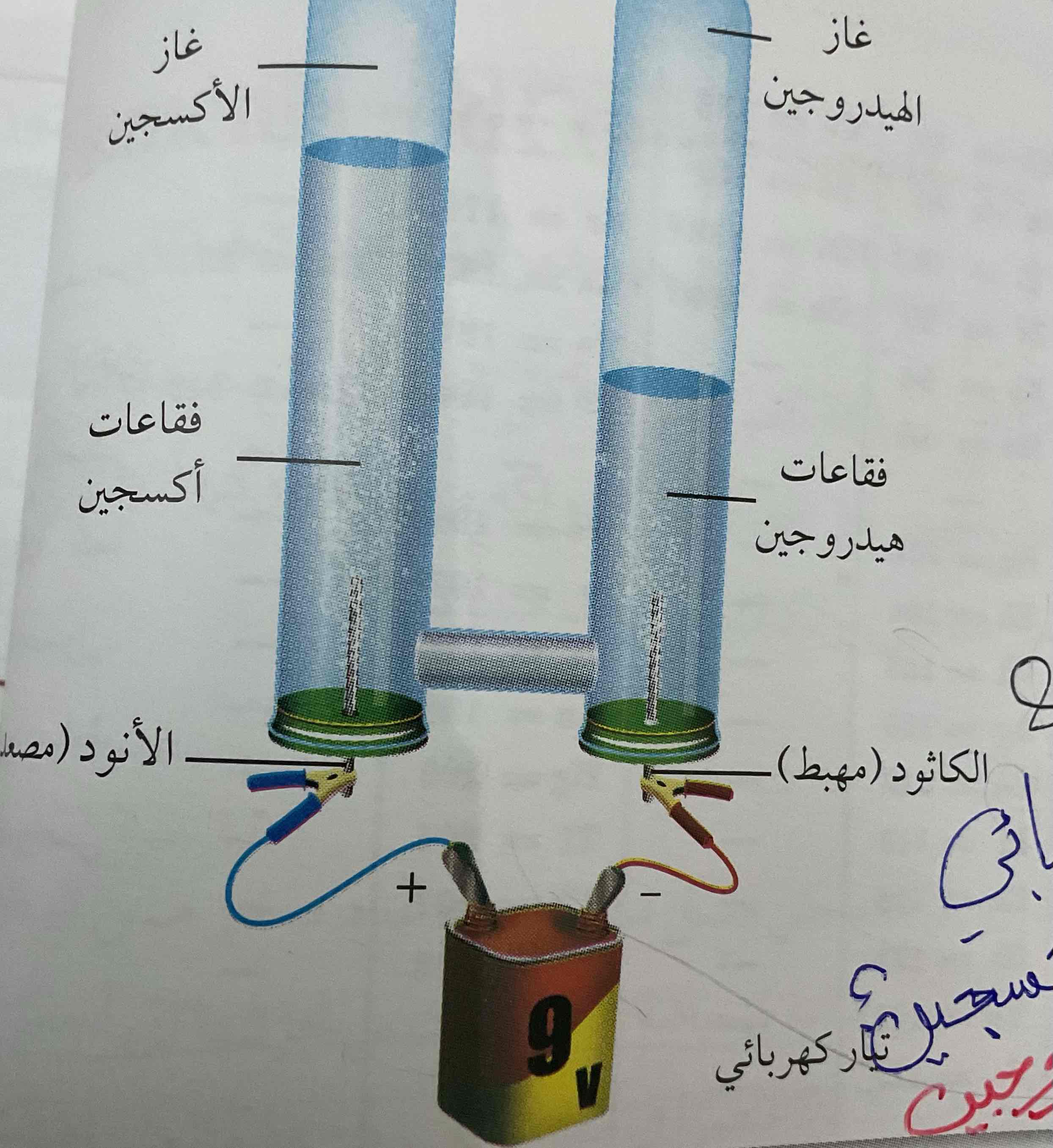 <p>فصل الماء في جهاز التحليل الكهربائي ينتج غاز أكسجين ضعف غاز الهيدروجين</p>