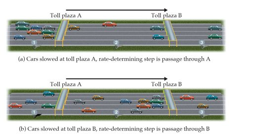 <p>The overall reaction cannot occur faster than the slowest reaction in the mechanism</p><p>We call that step the rate-determining step</p>