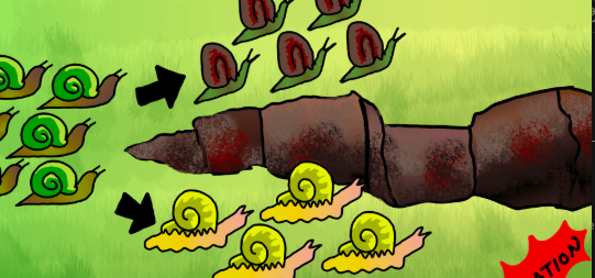 <p>the first stage of allopatric speciation and it occurs when two populations of the same species are divided by some type of geographic event or object </p><p></p>