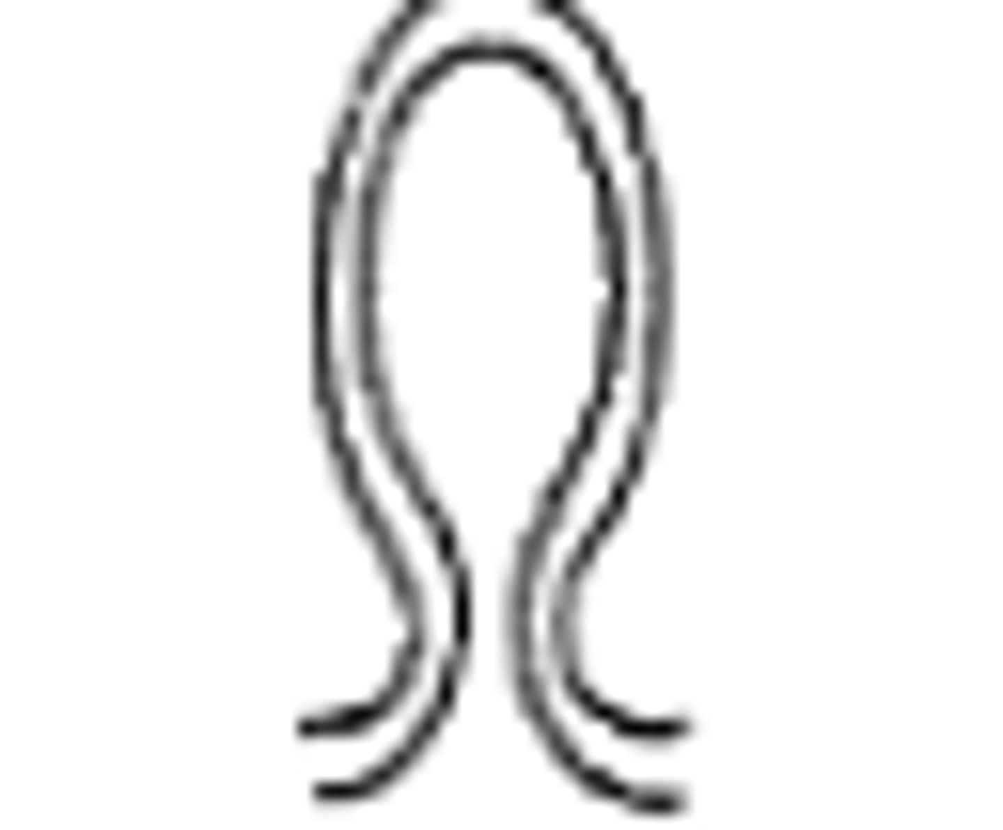 <p>Beschrijf de verhevenheid</p>