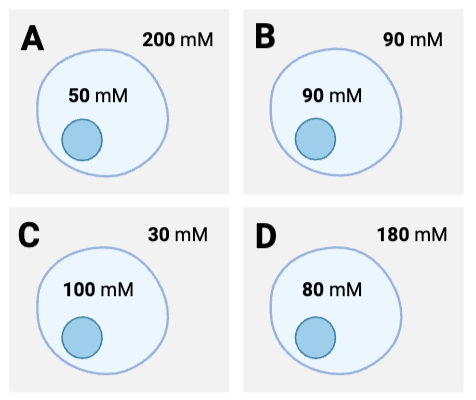 <p>For which cells will the net diffusion of water be into the cell?&nbsp;Select <strong>all<em> </em></strong>that apply.</p><ul><li><p><span>a. Cell <strong>A</strong></span></p></li><li><p><span>b. Cell <strong>B</strong></span></p></li><li><p><span>c. Cell <strong>C</strong></span></p></li><li><p><span>d. Cell <strong>D</strong></span></p></li></ul><p></p>