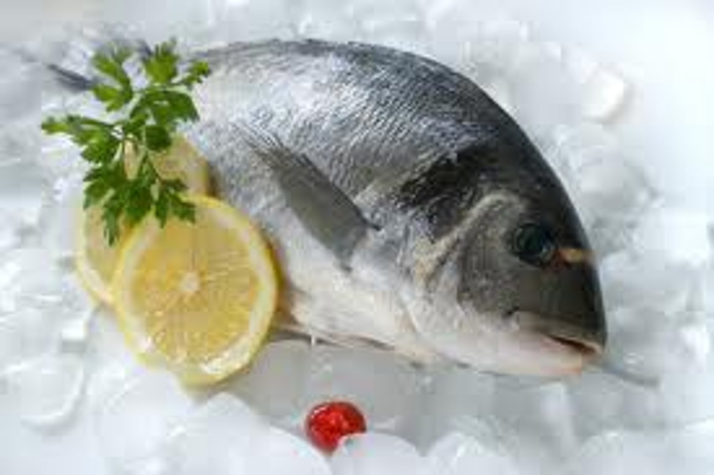 <p>the fish</p>