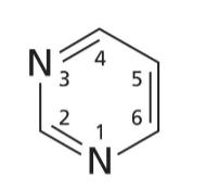 <p>6 membered heterocyclic ring with 2 N</p>
