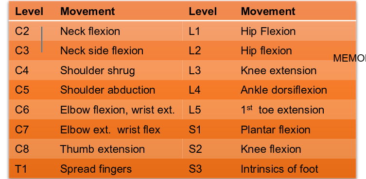 <ul><li><p>A muscle receiving the greater part of  its innervation from a single spinal nerve </p></li><li><p>Isometric contraction held for at least 5 seconds </p></li><li><p>fatigable weakness vs. no strength for peripheral nerve</p></li></ul><p></p>
