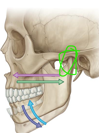 <p>Name of joint?</p>