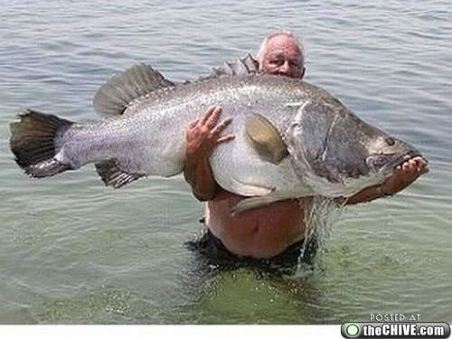 <p>(adj.)巨大的，大量的</p>