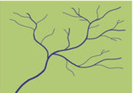 <p>Dendritic</p>