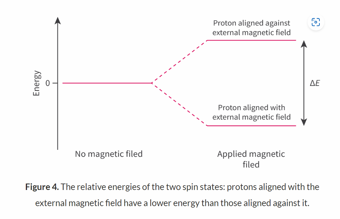 <ul><li><p>The nuclei of hydrogen atom posses spin and can exist in two possible states of equal energy.</p></li><li><p><span>In particles with odd numbers of nucleons, such as </span><sup>1</sup><span>H, the spins do not cancel out.</span></p></li></ul><p>IF a strong magnetic field is applied:</p><ul><li><p>the spin states may align themselves either with the magnetic field or against it </p></li><li><p>there is a small energy difference between these alignments (can be provided by radio waves). </p></li></ul><p></p><p><span>If the protons aligned with the magnetic field are exposed to resonance frequency</span></p><p><span>some of these protons flip from the lower energy state to the higher energy state. </span></p><p><span>When the radio frequency signal is switched off, these protons will return to the lower energy state and re-emit the same frequency of radiation that was absorbed. </span></p><p><span>This radiation is then detected by the </span><sup>1</sup><span>H NMR spectrometer producing a </span><sup>1</sup><span>H NMR spectrum</span></p>