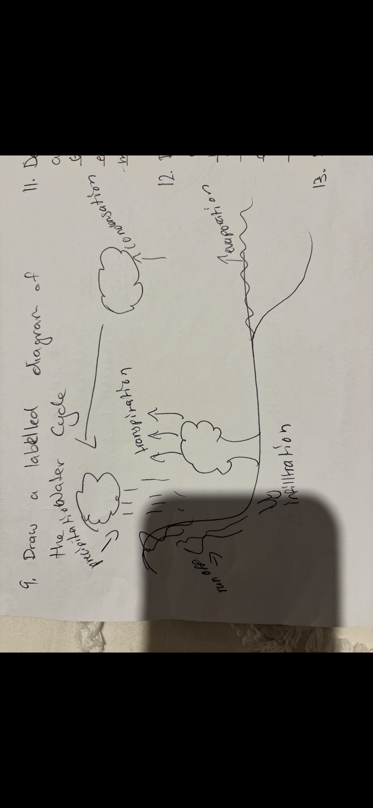 knowt flashcard image