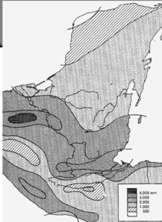<p> Greater rainfall in the Southern Maya Lowlands</p><p> Rainy season-dry season Pattern</p><p> Tendency towards droughts&nbsp;</p>