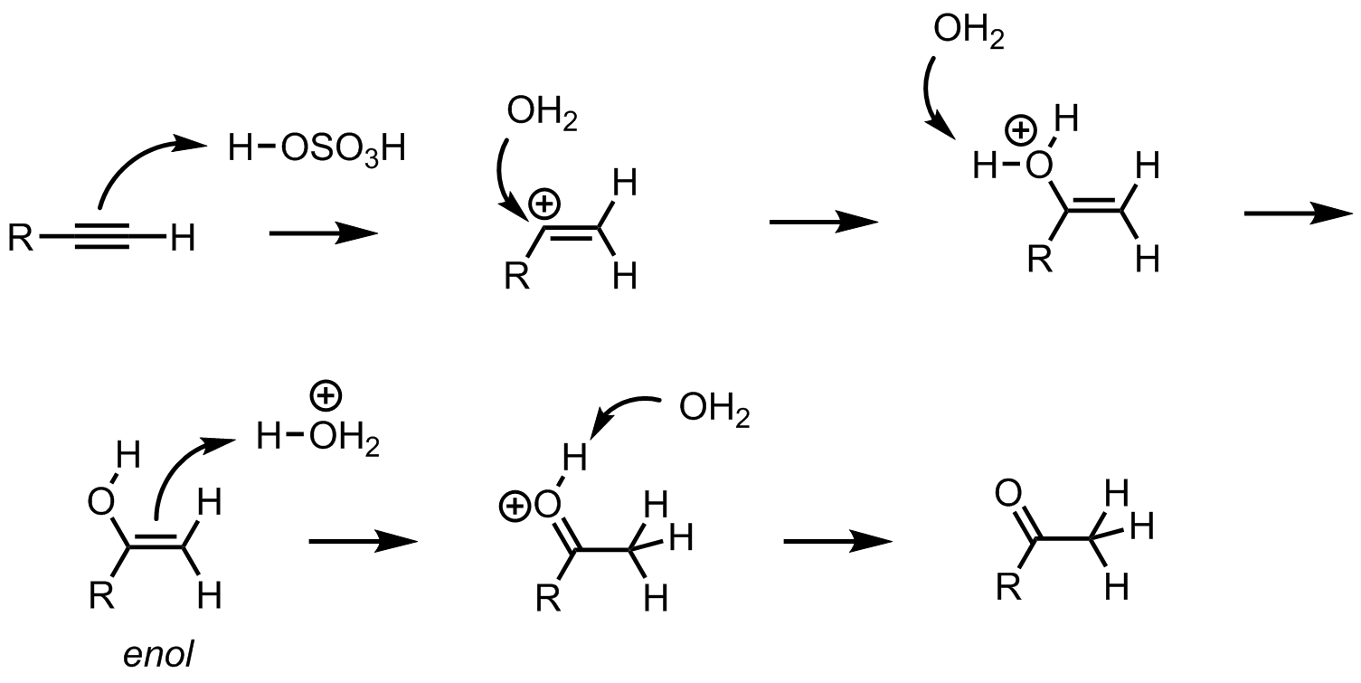 <ul><li><p>forms a ketone from an alkyne (catalyzed hydration)</p></li></ul><ul><li><p>Hg<sup>2+</sup> can make an epoxide</p></li></ul><ul><li><p>H<sub>2</sub>O breaks the epoxide</p></li></ul><p></p>