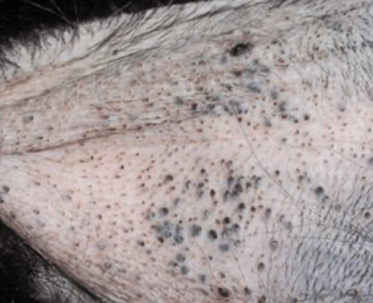 <p>what are these?</p>