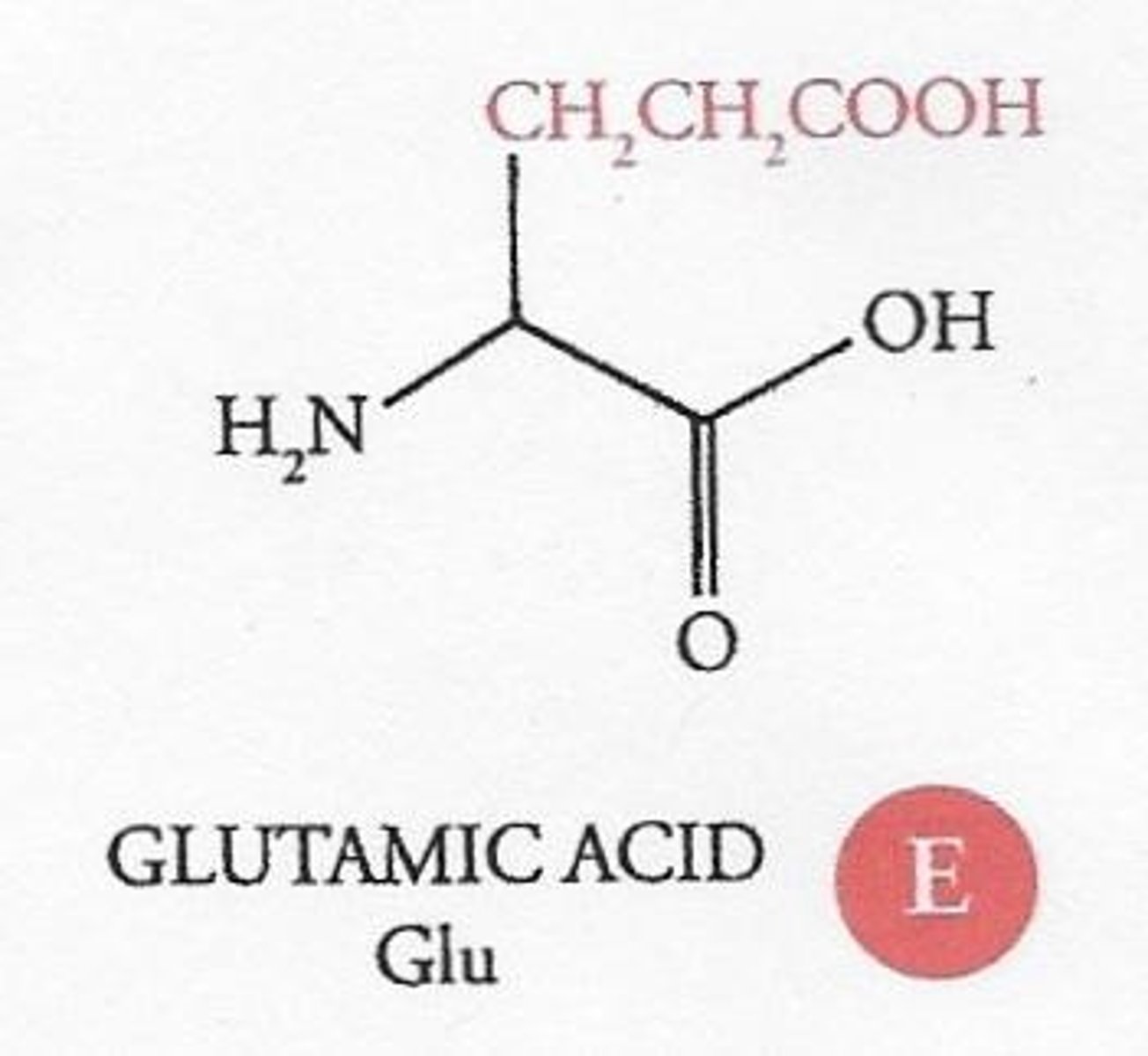 <p>They have an additional carboxyl group in their R group, resulting in a net negative charge when fully ionized.</p>