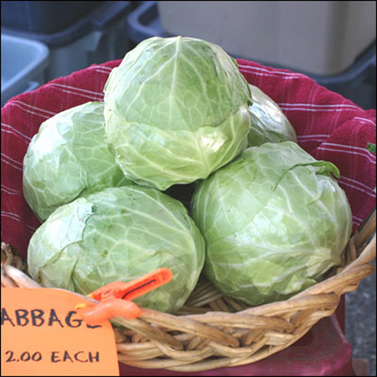 <p>cabbages</p>