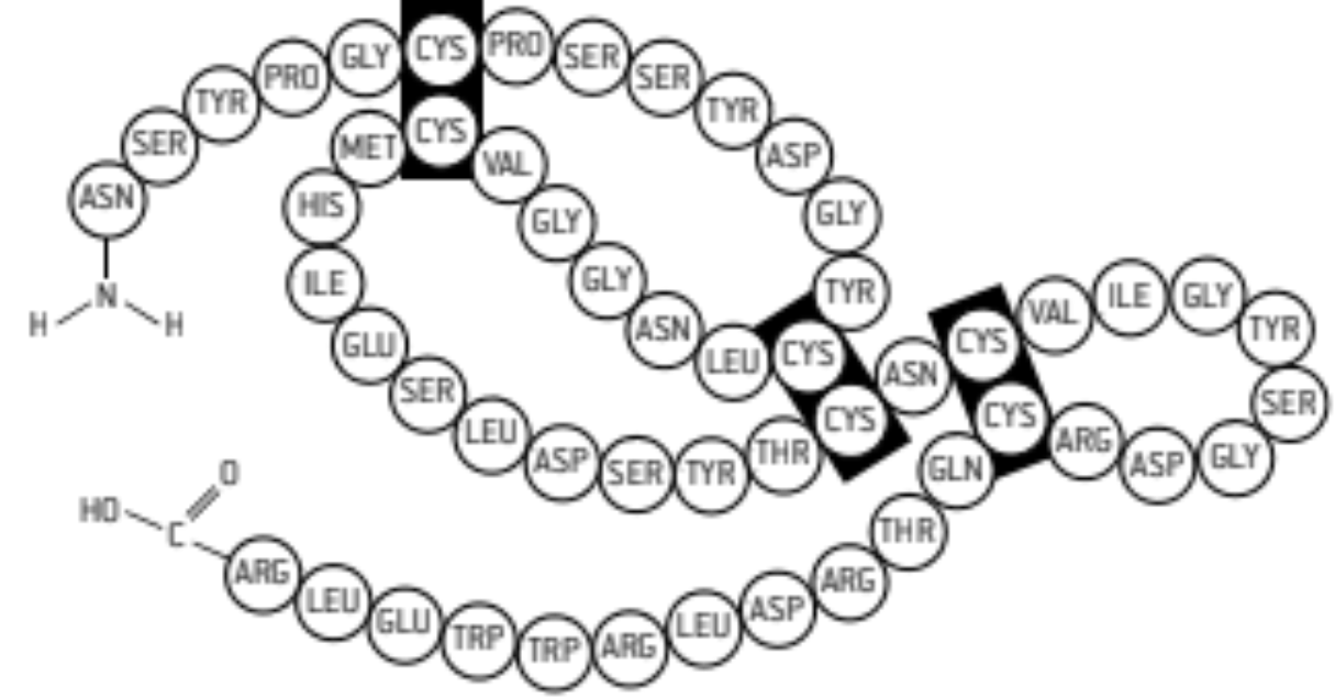 <ul><li><p>The gene that codes for insulin has been transferred from humans to the bacterium <em>E</em>. coli and to other organisms, to produce insulin</p></li><li><p>aa sequence for insulin in bacteria = aa sequence in humans</p><ul><li><p>because of <strong><span style="color: purple">universality of genetic code</span></strong></p></li><li><p>codons in bacteria = codons in human mRNA</p></li></ul></li><li><p>there are some exceptions</p></li></ul>