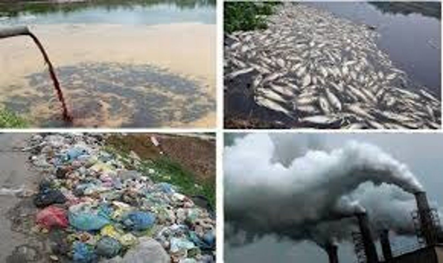 <p>(adj) bị ô nhiễm (> < clean)</p>