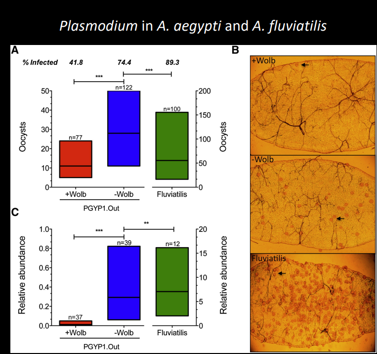 <p>Explain this graph</p>