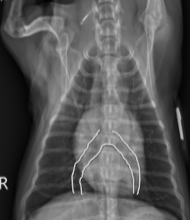 <p>What sign is this?</p>