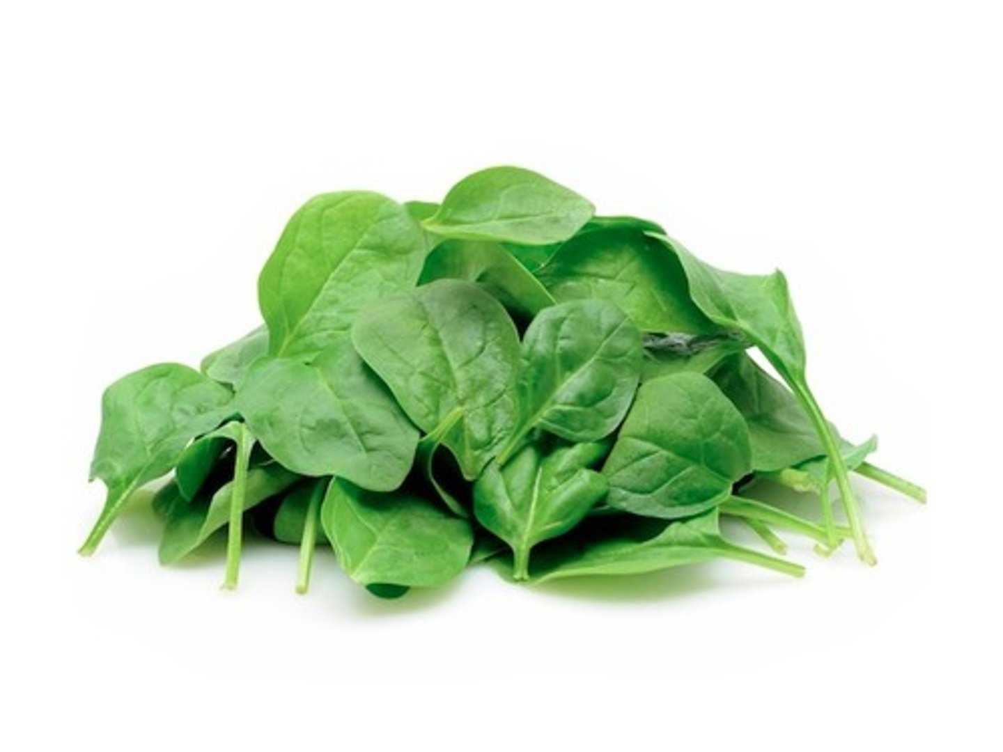 <p>spinach</p>
