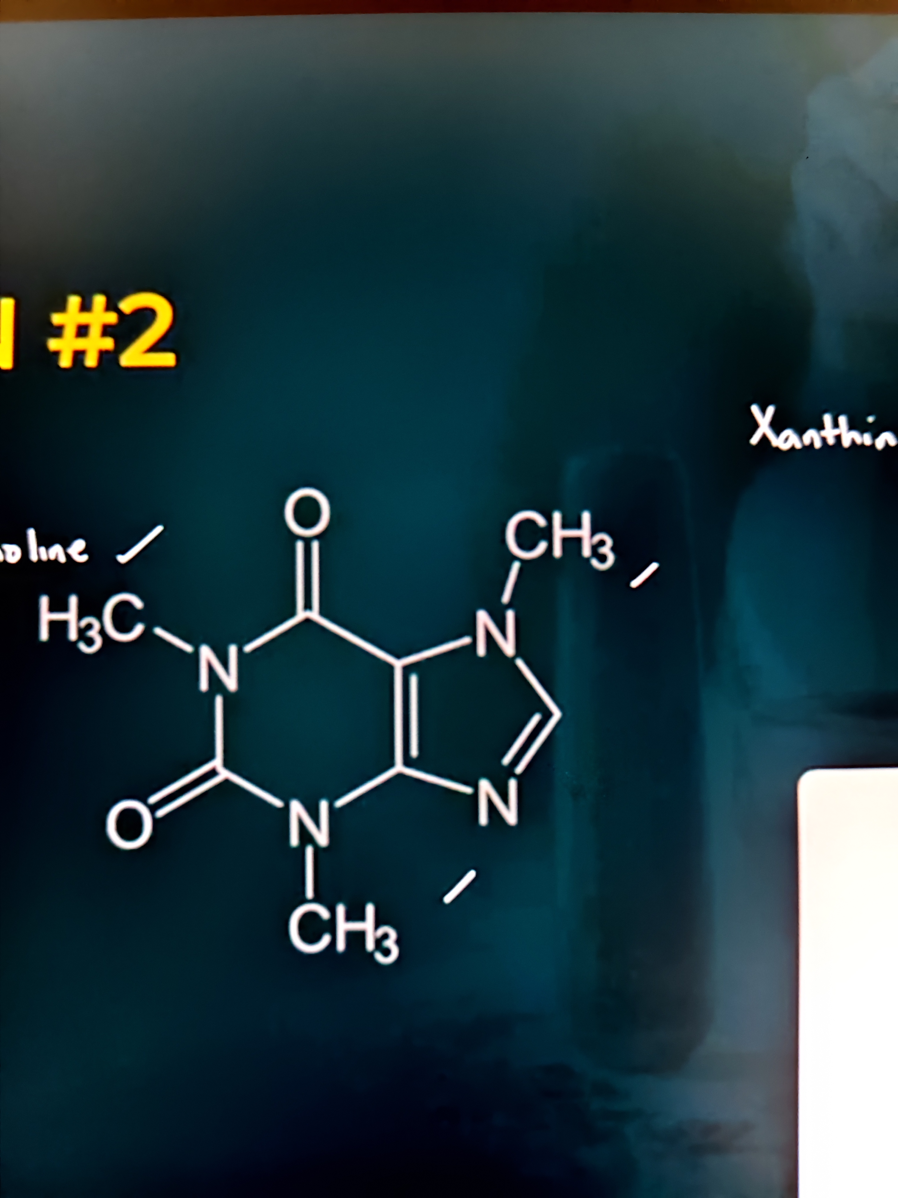 <p>Determine the names of these alkaloids: Refer to the picture: (1,3,7-trimethylxanthine)</p><p>A. Morphine - Isoquinoline </p><p>B. Cocaine - Tropane</p><p>C. Caffeine - Xanthine/Purine</p><p>D. Quinine - Quinoline</p>