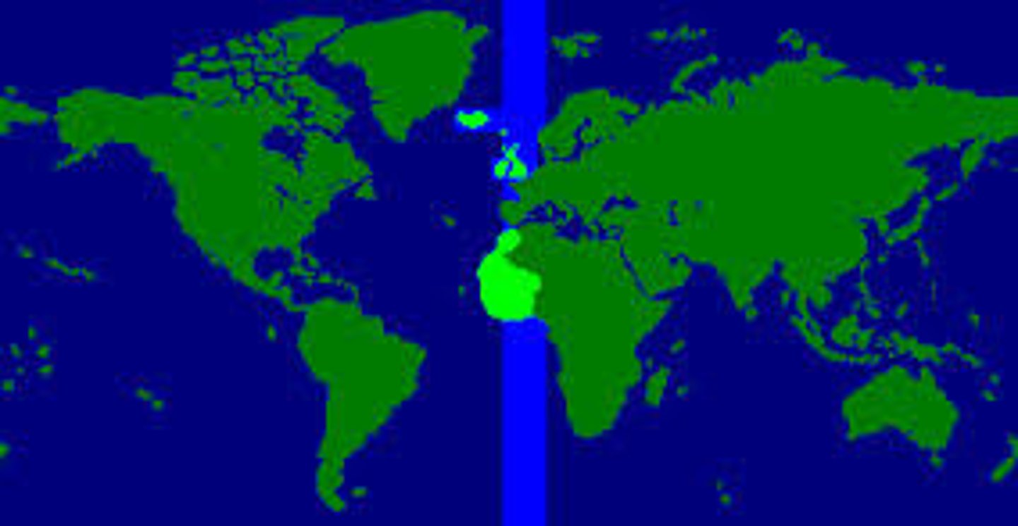 <p>The time zone within 0 degrees longitude, the Prime Meridian, located in Greenwich, England.</p>