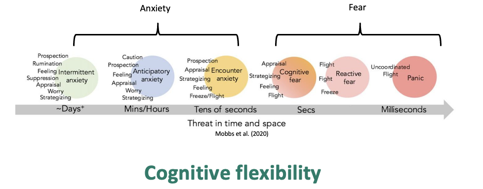 <ul><li><p><span><span>Goes from being cognitively based to physical- graded defensive responses</span></span></p><ul><li><p><span><span>Cognitive- thinking / planning</span></span></p></li><li><p><span><span>Physical- narrow thinking and more limited in defensive strategies (cognitive flexibility decreases)</span></span></p></li></ul></li></ul><p></p>
