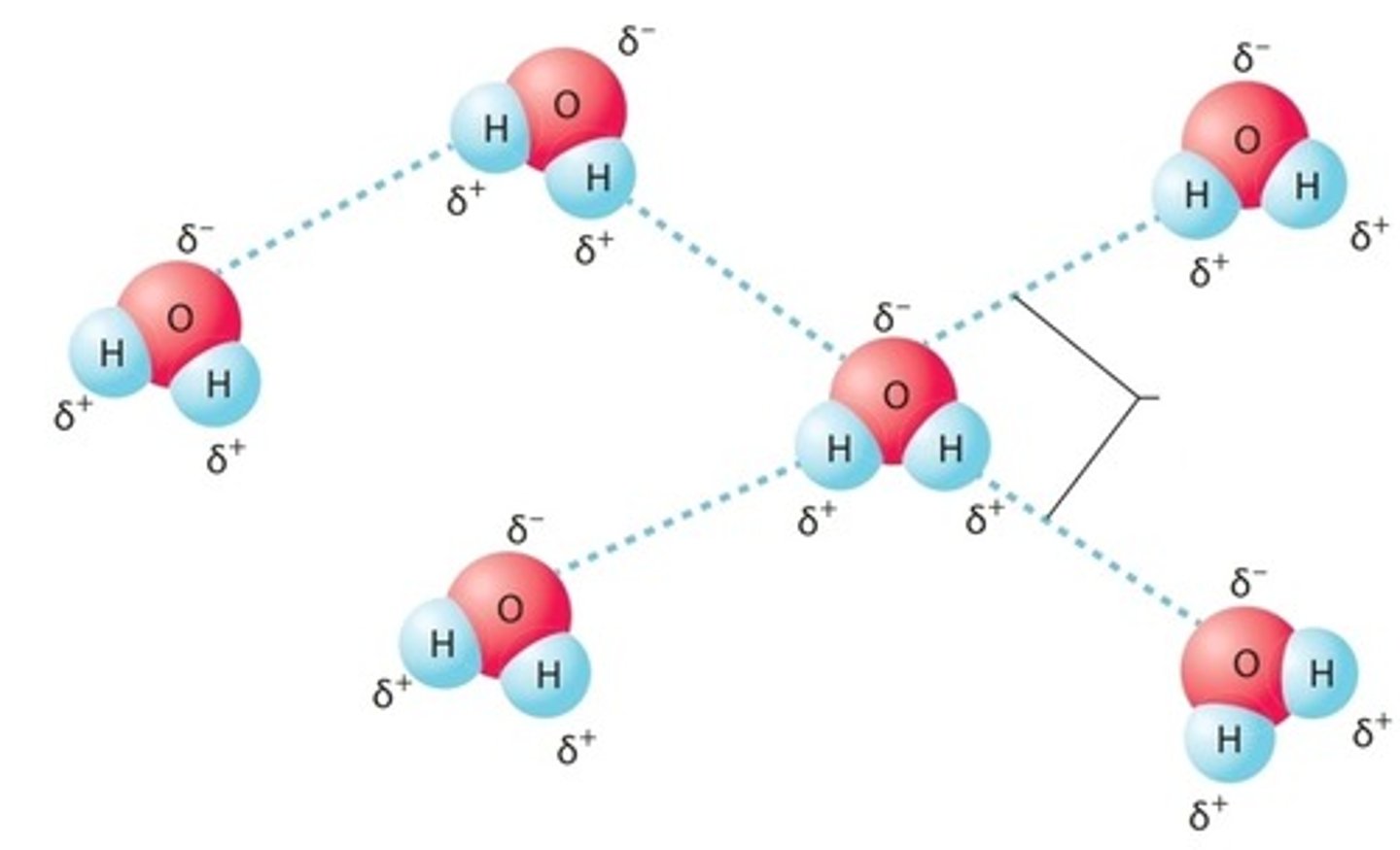 <p>Type of bond in which a hydrogen atom covalently bonded to an electronegative atom is weakly attracted to a second electronegative atom</p>