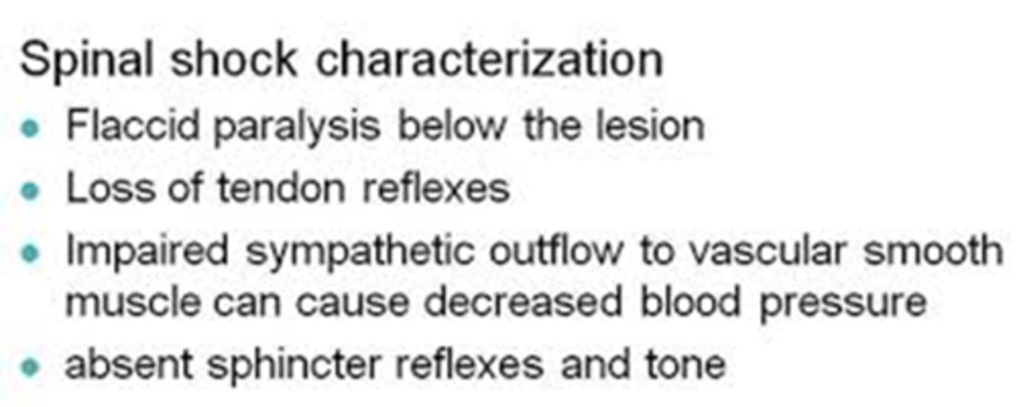 <p>Characterized by</p><p>- ↓ Reflexes</p><p>- Loss of sensation</p><p>- Absent thermoregulation</p><p>- Flaccid paralysis below level of injury</p><p>- Lasts days to weeks</p><p>- Issue with Injury</p><p>- Transient condition that presents after acute spinal cord injury</p><p>- Not a circulatory disorder</p><p>- Masks post-injury neurologic function</p><p>Assessment findings:</p><p>- loss of deep tendon reflexes</p><p>- Loss of sphincter reflexes</p><p>- Loss of sensation</p><p>- Flaccid paralysis</p>