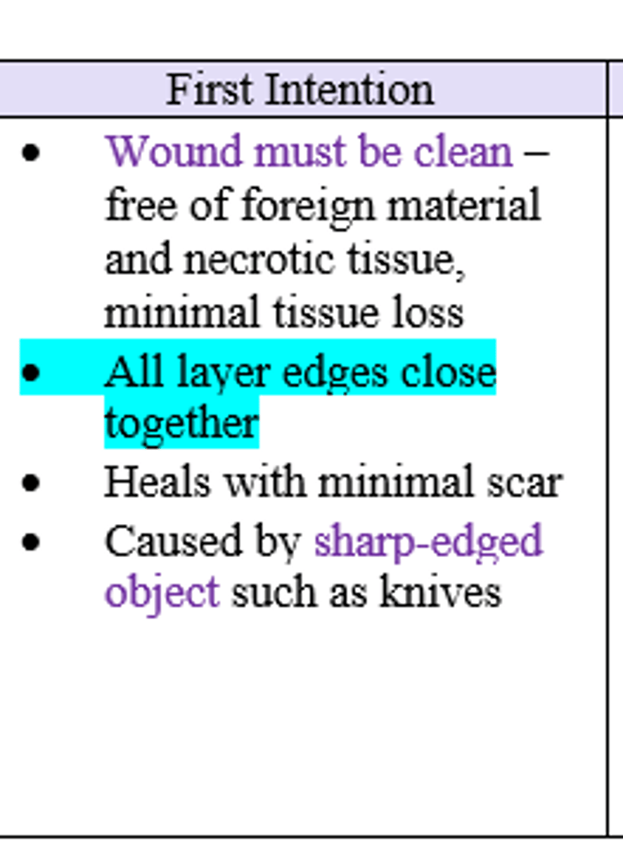 <p>First / Primary Intention</p>