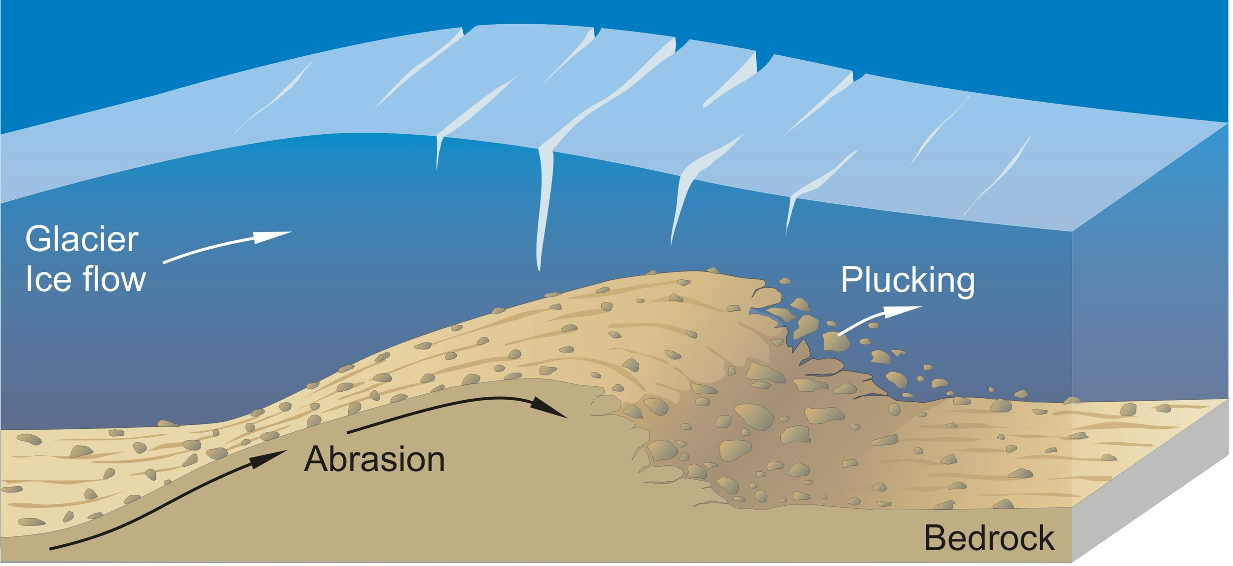 <p>Abrasion - The grinding of rock surfaces by the movement of glacial ice</p><p>Plucking - Meltwater of a glacier freezes onto rock and as the glacier moves, it pulls it out</p>
