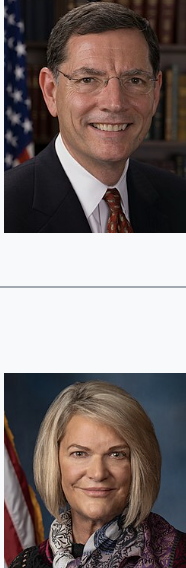 <p></p>
