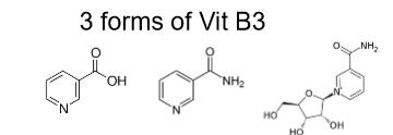<p>Characteristics of Vitamin B3 (Niacin)</p>