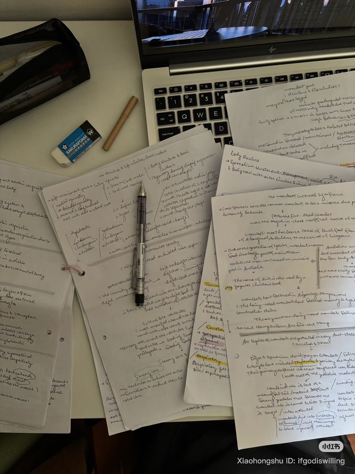 <p>Academic Advising </p>