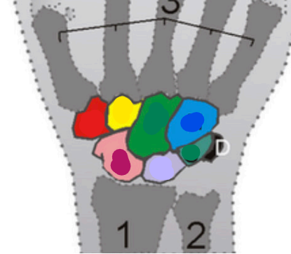<p><span><span>quel est cette partie?</span></span></p>