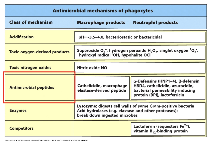 <p>bactericidal agents</p>