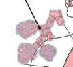 Bronchioles