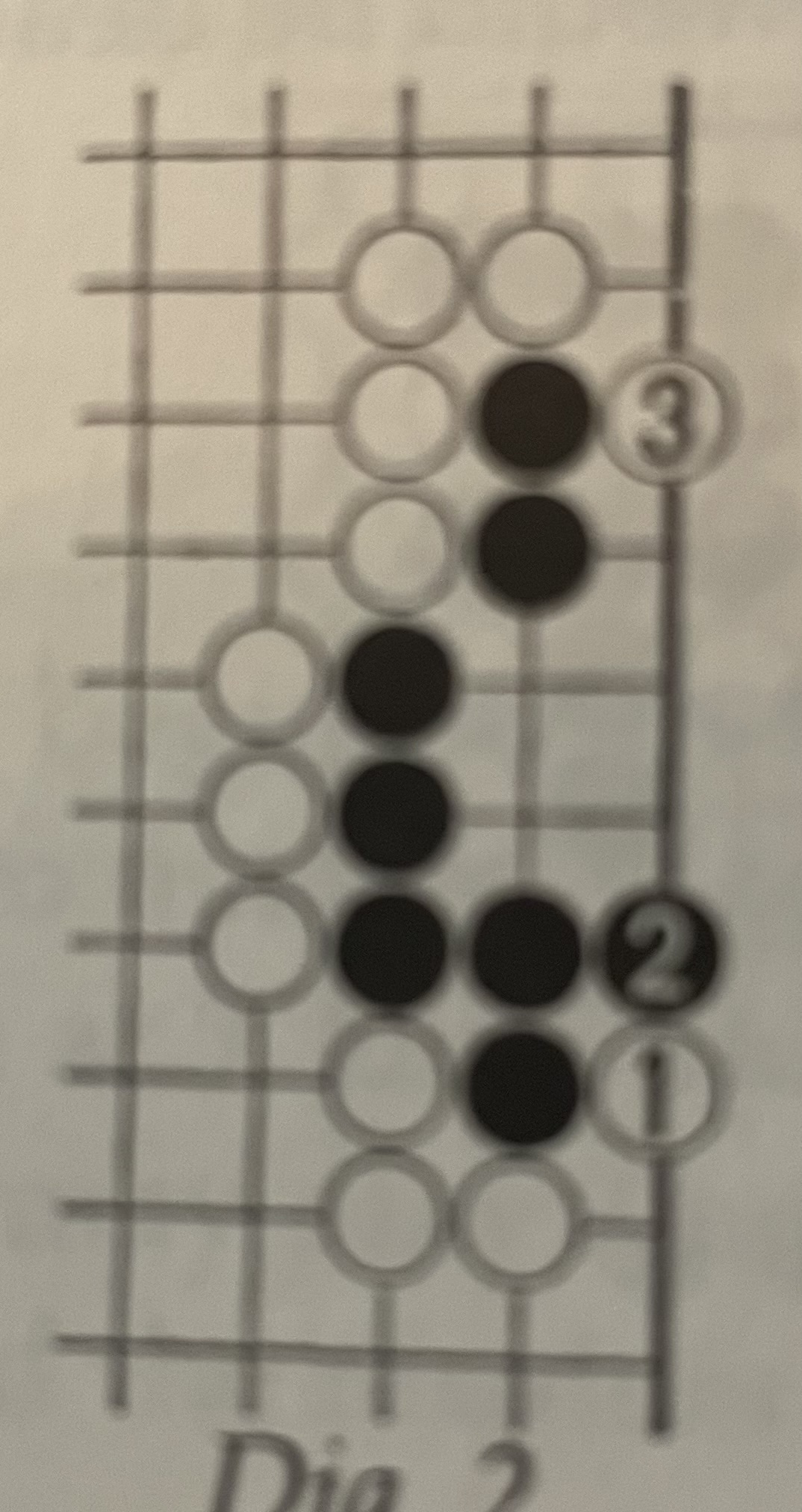<p>7 lives</p>