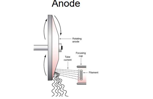 <p>What are the structures in the anode</p>