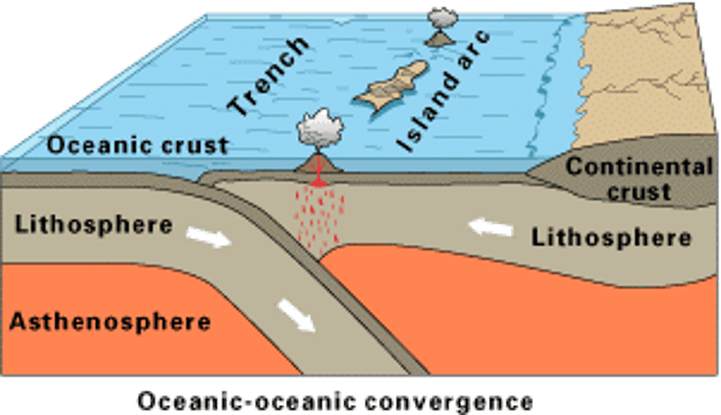 <p>Form as a result of converging lithospheric plates with oceanic and oceanic, or continental and oceanic</p>