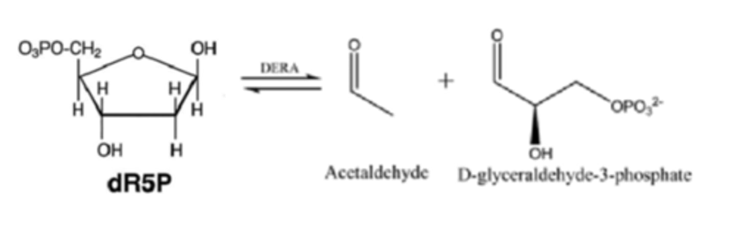 <p>sugar cleaved by deoxyribose-phosphate aldolase (DERA)</p>