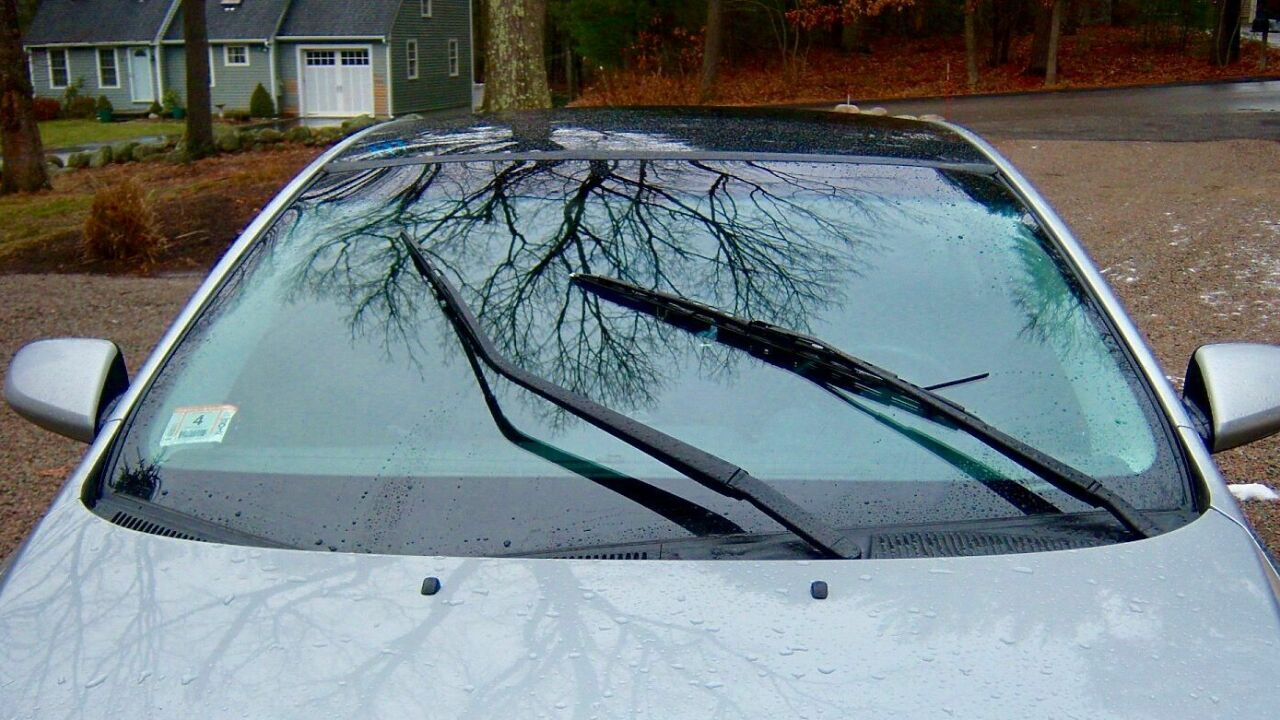 <p>wiper blades</p>