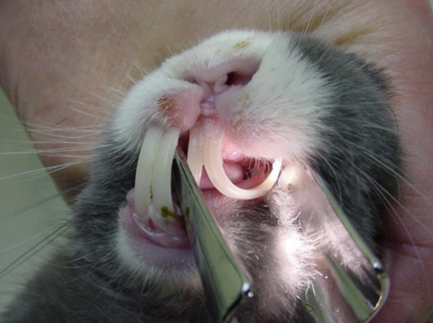 <p>What is being shown here?</p>