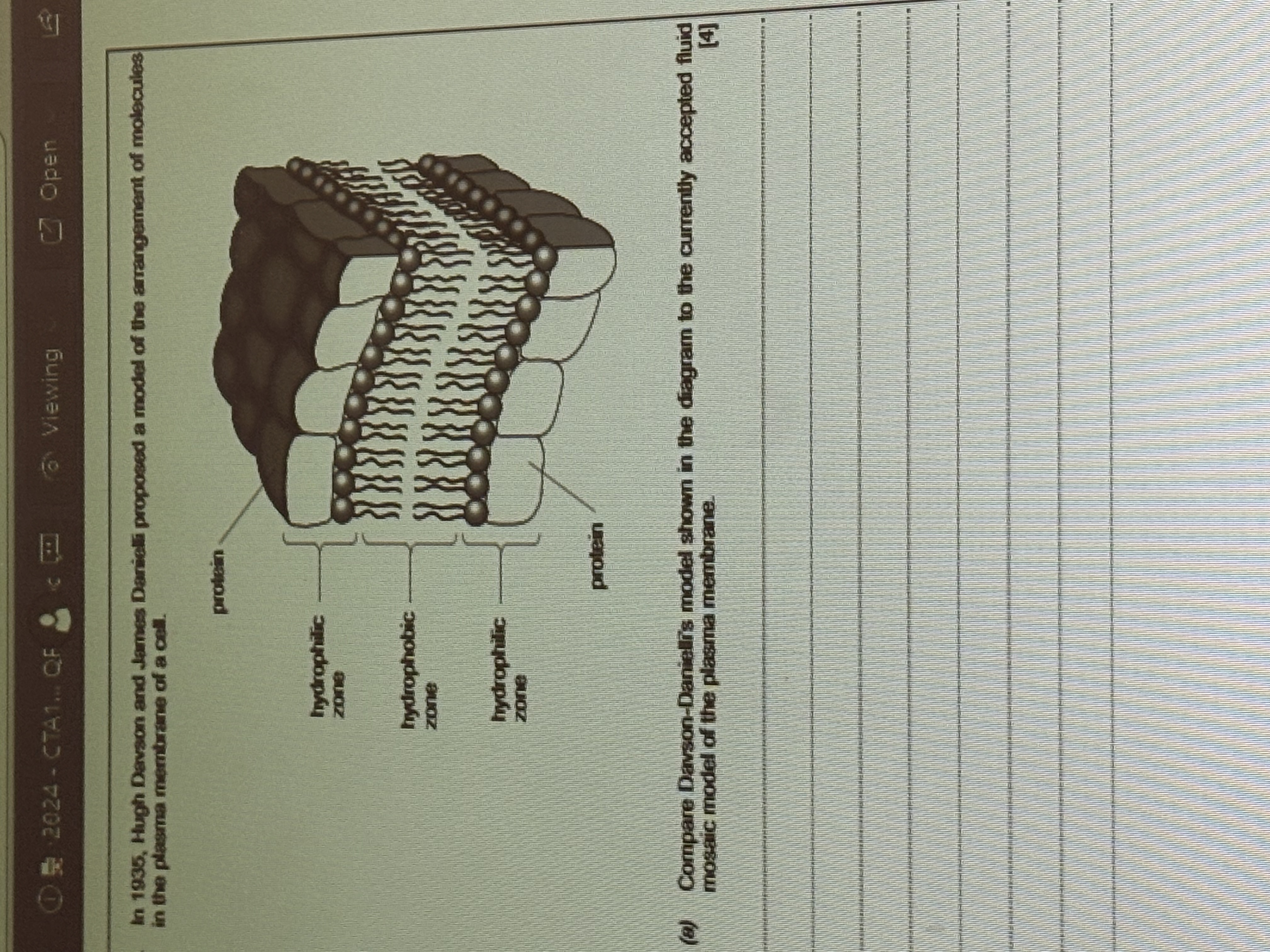 <p>Difference between this model and currently accepted fluid mosaic model </p>