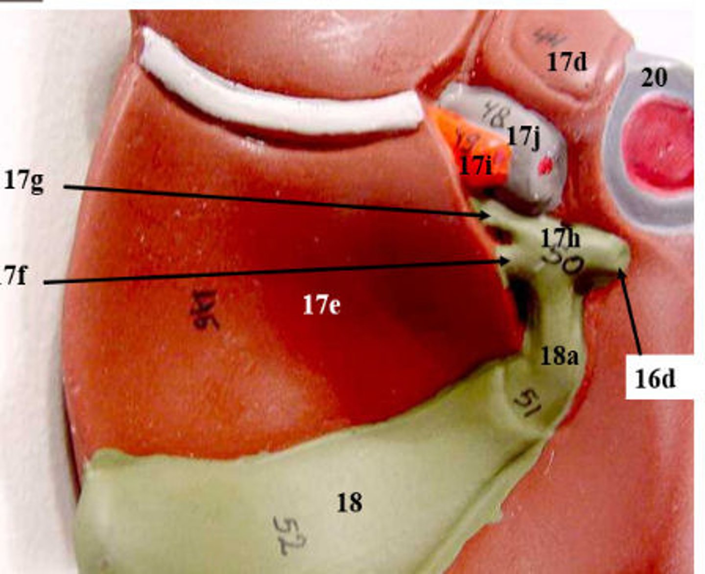 <p>What is 18a?</p>