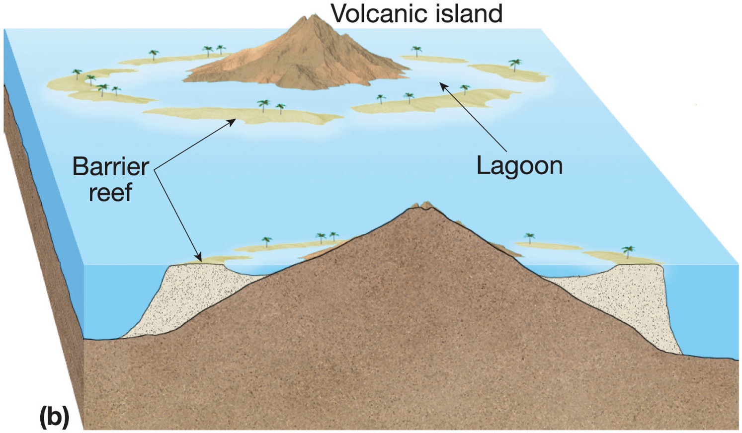 <p>as the volcano cools, it sinks down </p>