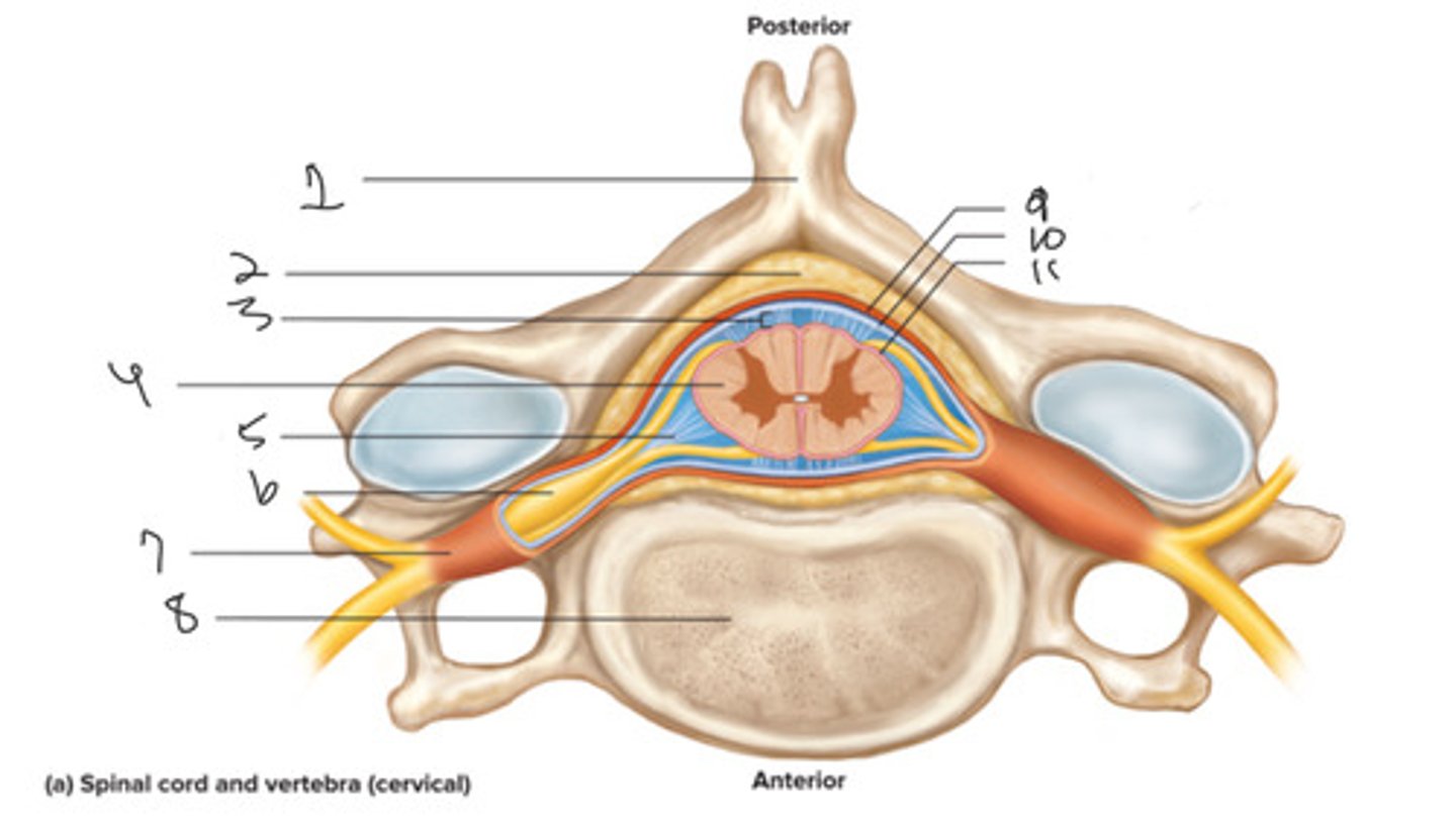 <p>What is number 4</p>