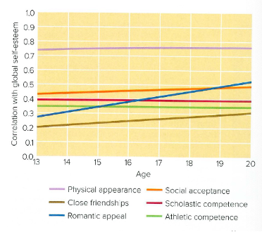 <p>physical appearance</p>