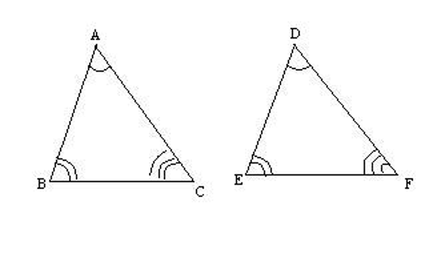 <p>angle angle angle</p>